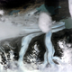 Image for article titled Earth’s frozen landscape, seen from space